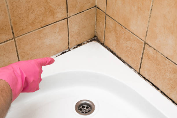 Best Office Mold Removal Services  in Piedmont, SD